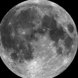 Meet your Posher, Bella